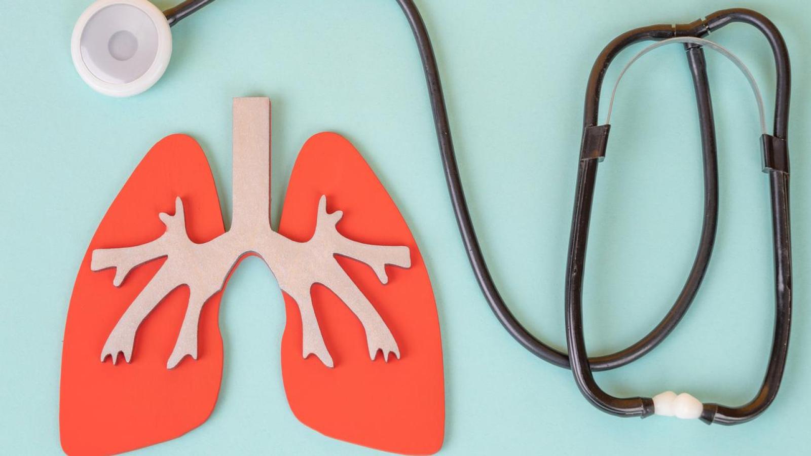 Red paper lungs with bronchial tubes and stethoscope on light blue background