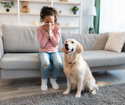 Understanding Allergic Rhinitis