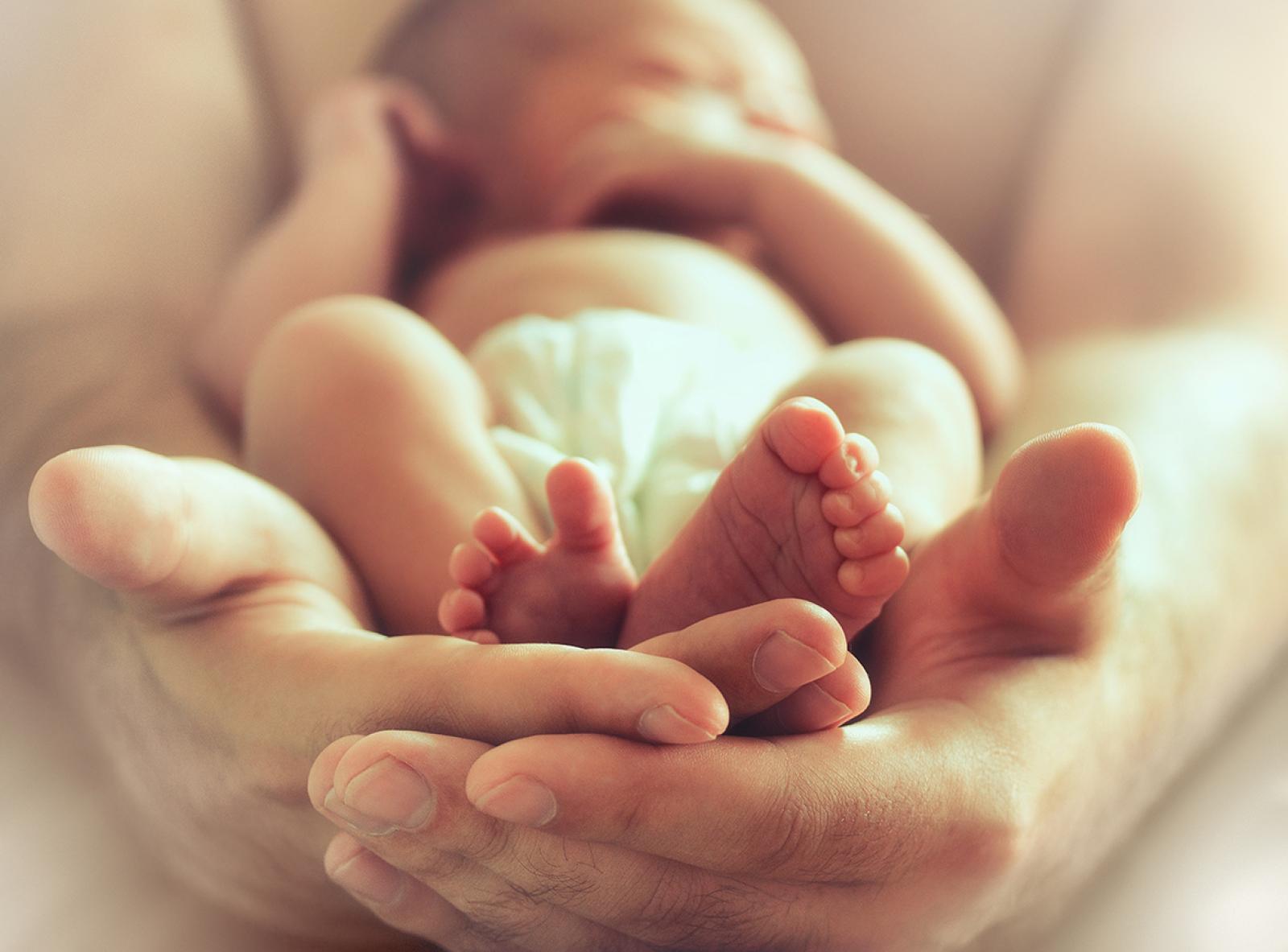 Newborn baby's tiny feet cradled in parent's hands during early infant care