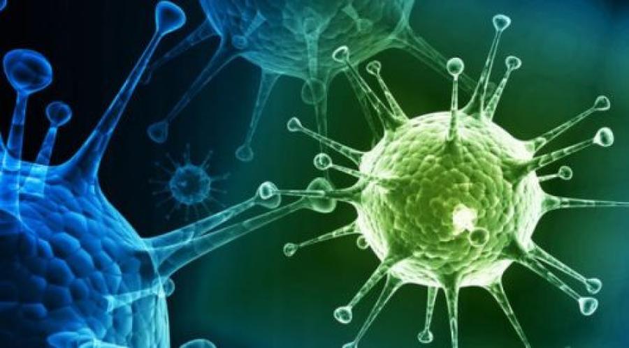 Digital illustration of immune system cells and virus particles, representing immunisation and vaccine response